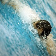 Special Olympics_0014.JPG